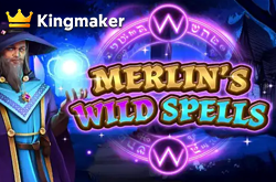 Merlins Wild Spells